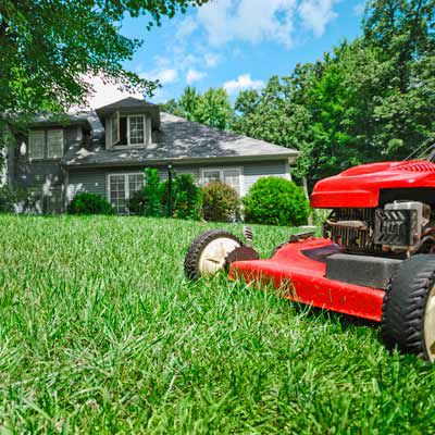When to top dress a lawn – expert tricks key to a lush lump-free lawn