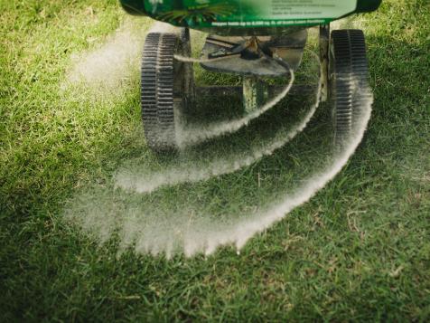 When should you not fertilize grass