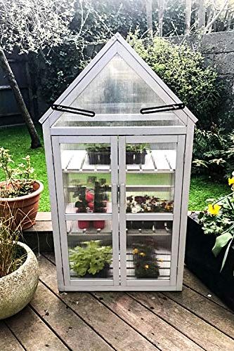 4. Cold Frame Greenhouse