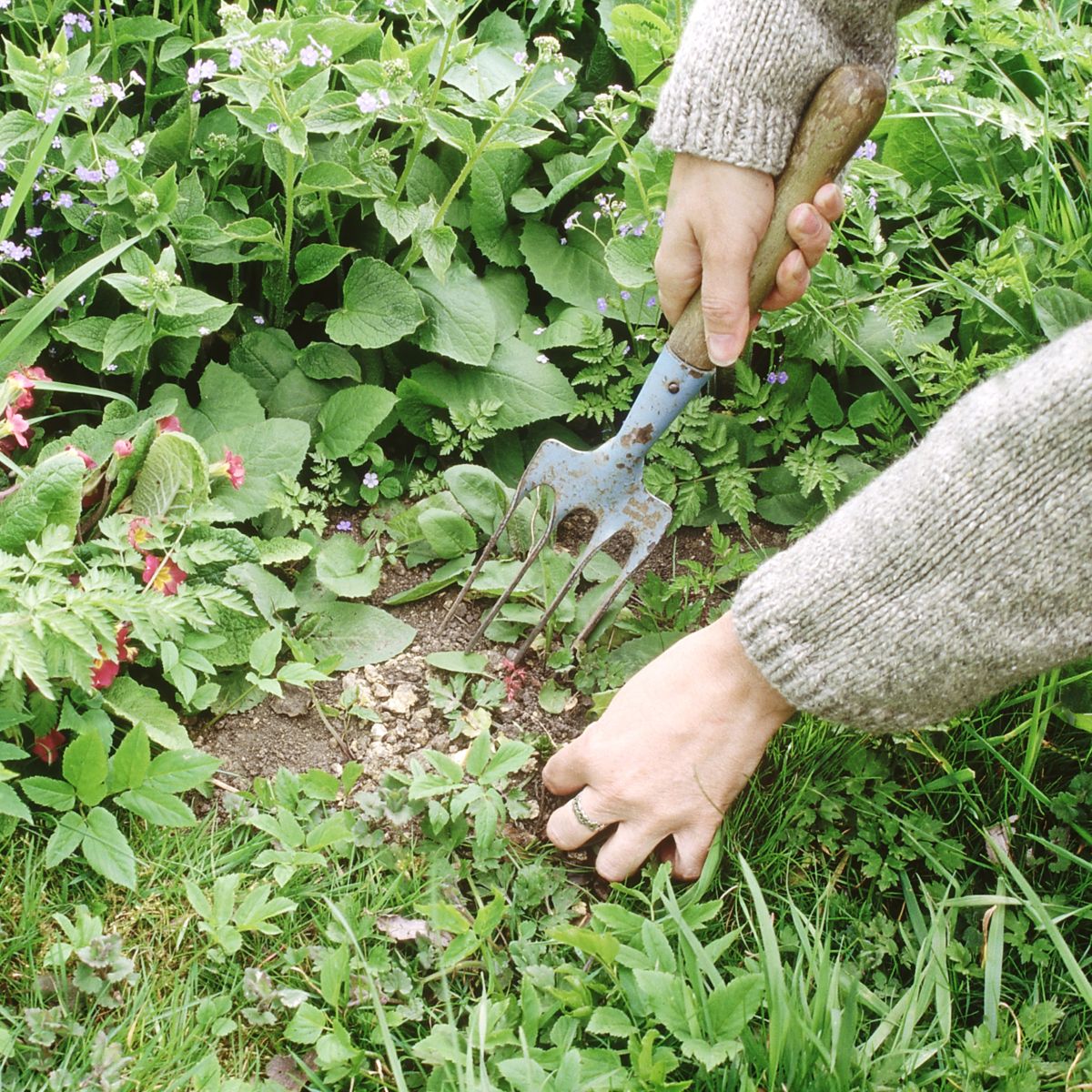 How to remove weeds from gravel – 7 ways to tackle these unwanted plants