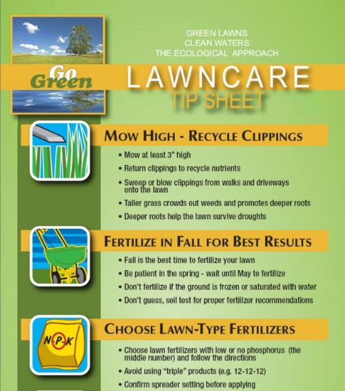 The best months to fertilize a lawn