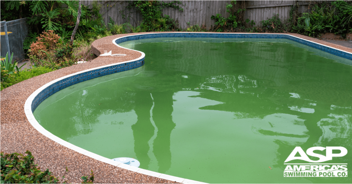 Why do algae grow in pools Expert solutions for clear problem-free water