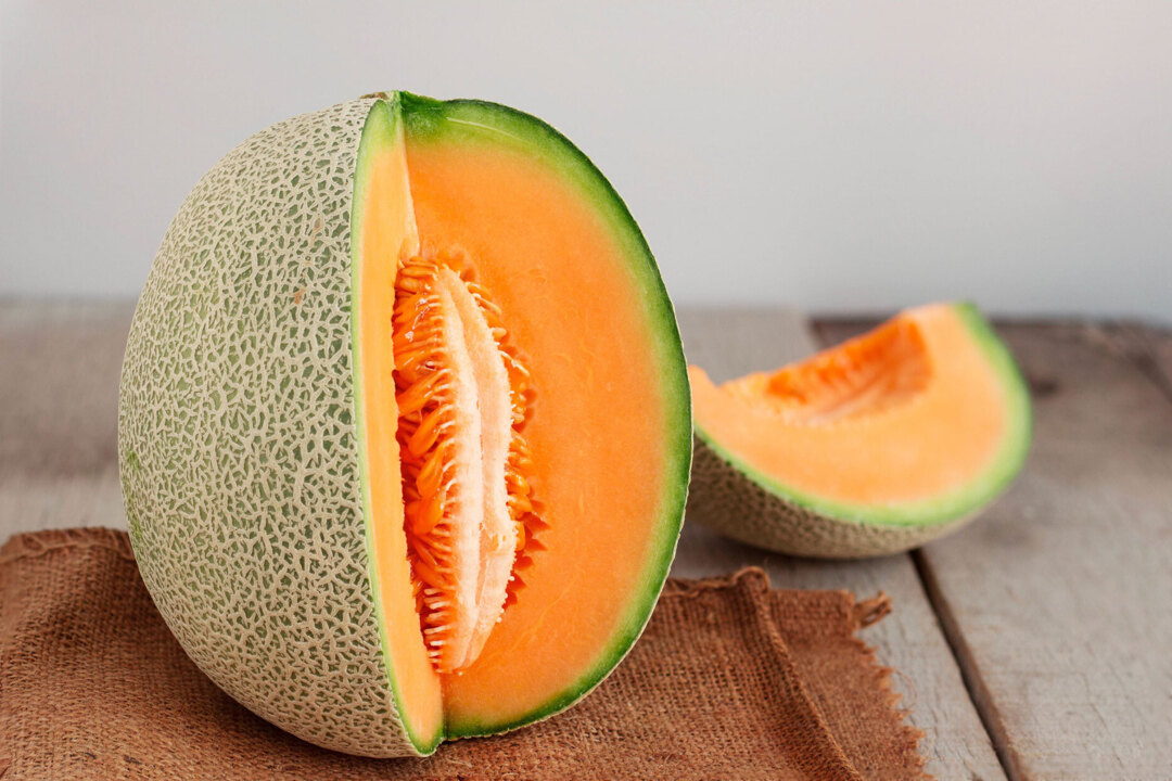 When to harvest a cantaloupe