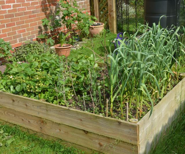 When to use narrow raised garden beds