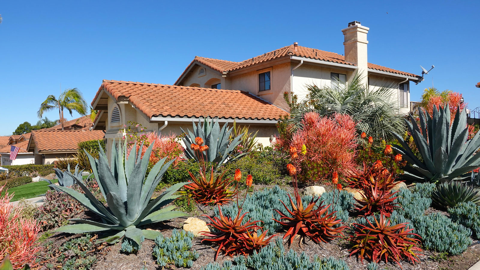 How to design a drought-tolerant yard – a 5-step plan for a space that will thrive with limited water