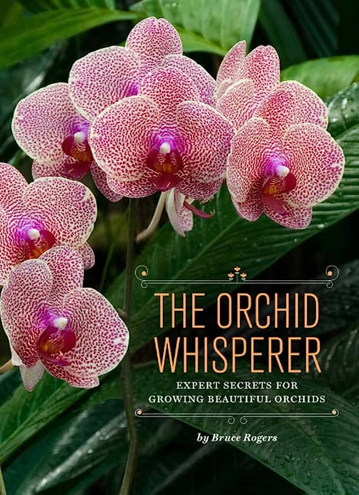 3 methods for propagating orchids