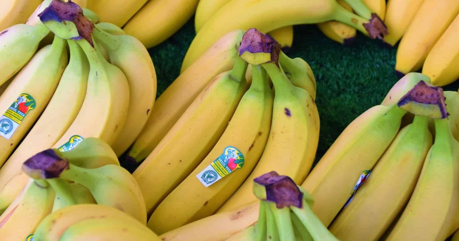 How to store bananas – so they’re fresh for longer