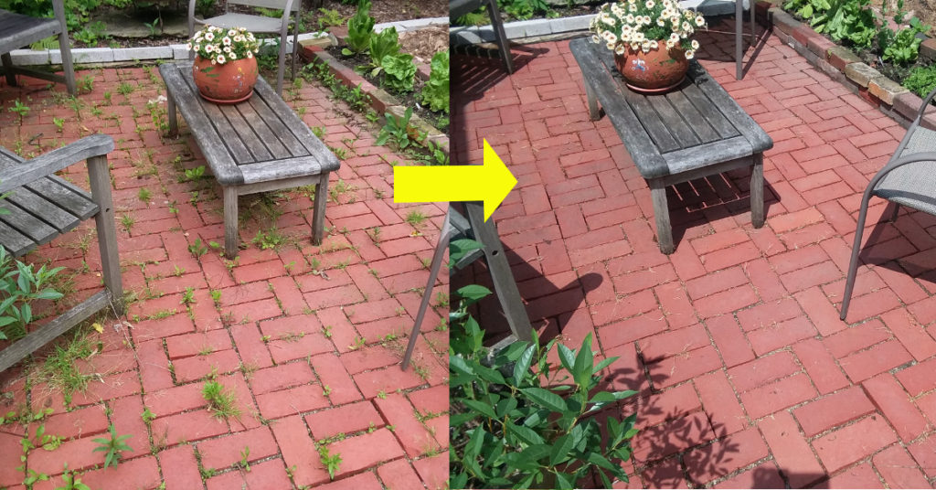 How to remove weeds from pavers – 5 natural ways to keep your patio free from weeds