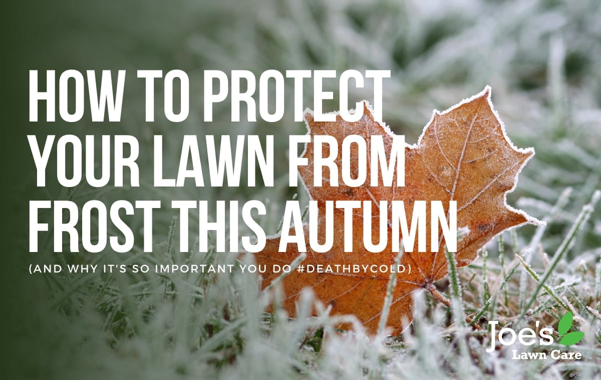 6. Protect your lawn from heavy snowfall