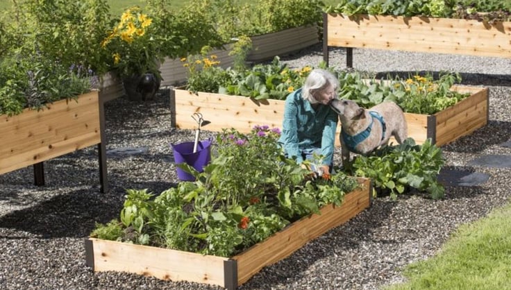 How to layer a raised garden bed
