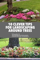 8 Consider landscaping around espaliered trees