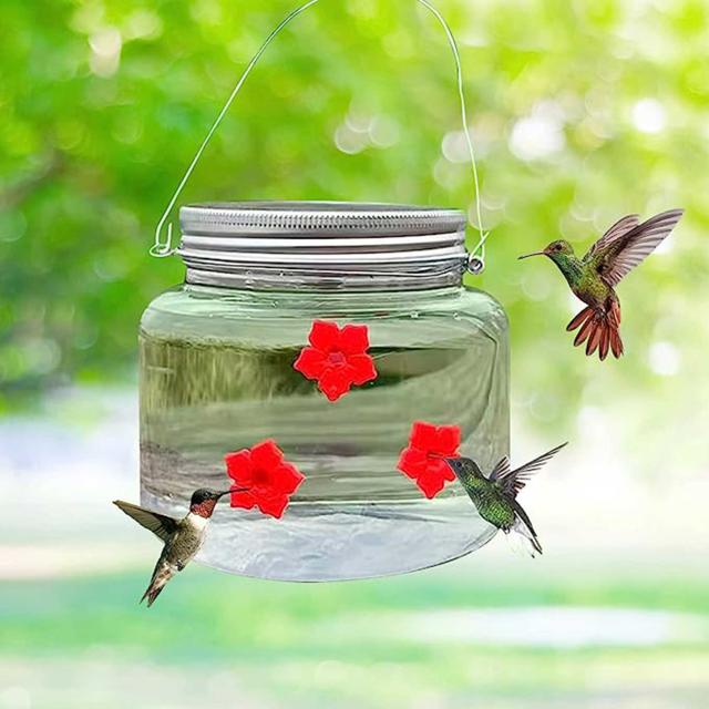 The best time to put out hummingbird feeders
