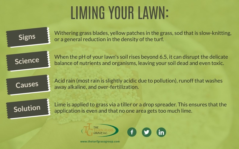 When to add lime to lawns – why you may need to and how to do it