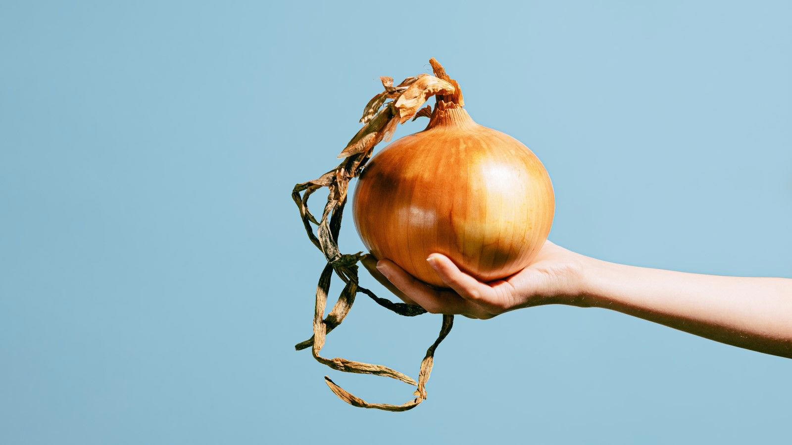 How to fertilize onions