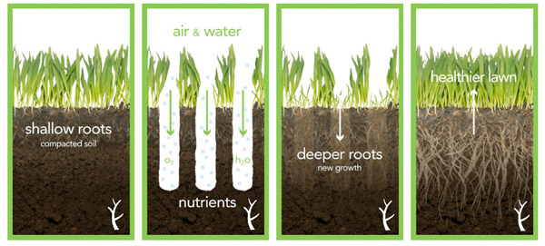 How to aerate then fertilize a lawn