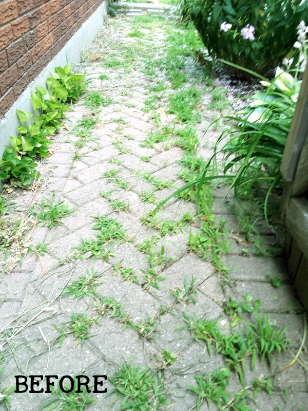 How to remove weeds from pavers