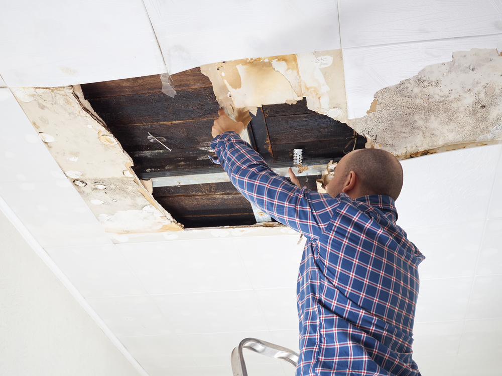 How to plaster a ceiling – an expert guide