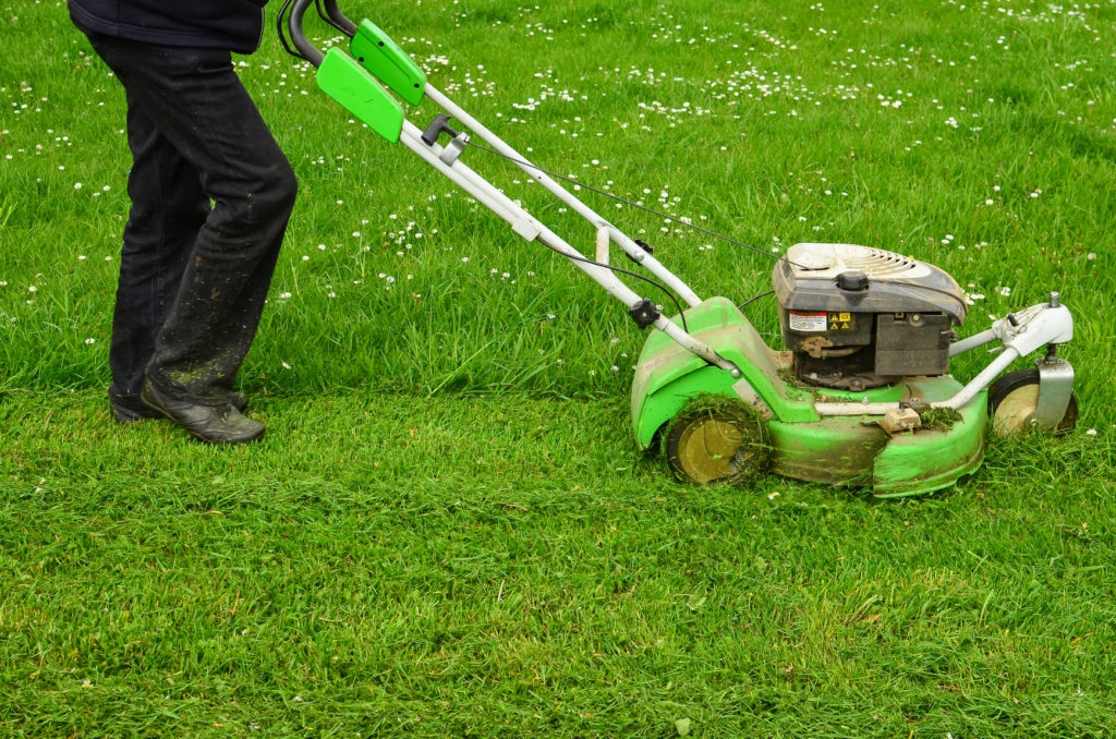 How to cut wet grass – experts tips on mowing a wet lawn safely