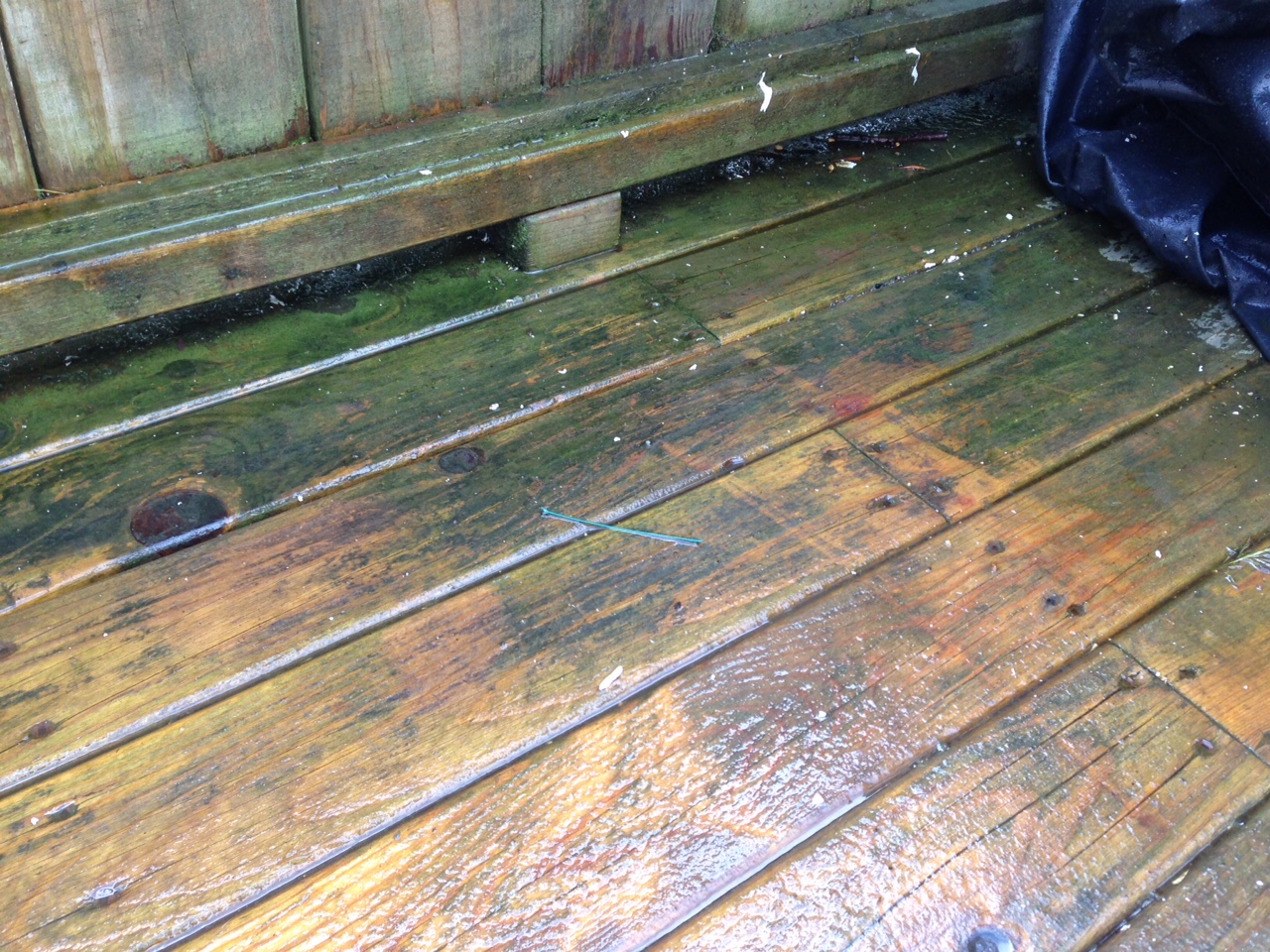 How to remove green mold from a wood deck
