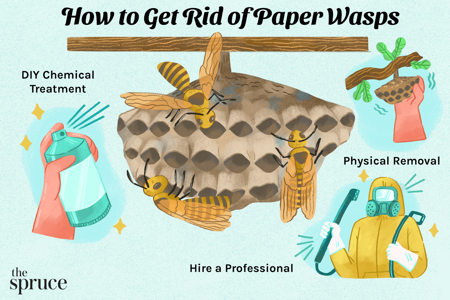 3. Make your own wasp trap