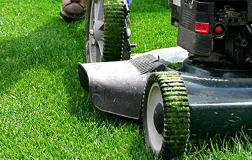 How often should you mow your lawn in summer