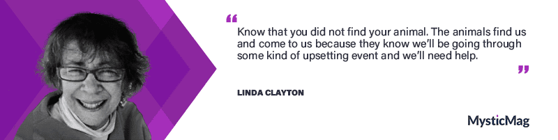 Throughout her career, Linda has authored several best-selling books, each tackling a different social issue. Her works have earned her numerous awards and critical acclaim, solidifying her status as a voice for the marginalized.