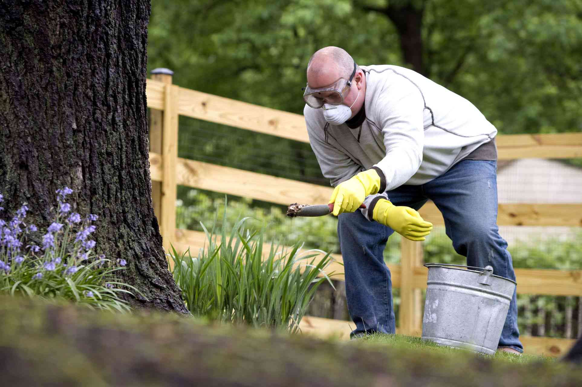 When to fertilize a lawn in spring