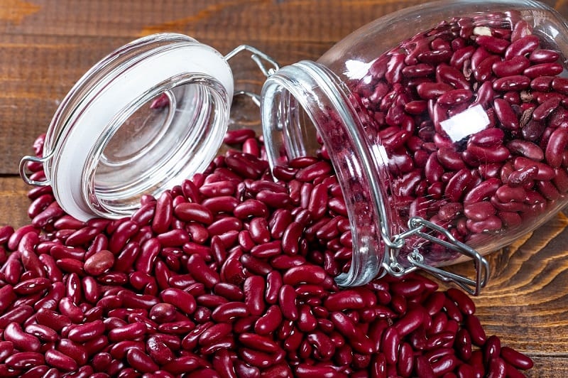 How to grow kidney beans – a healthy inclusion to the home garden
