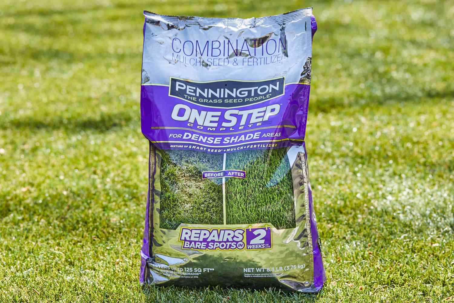 10 Best fast-growing grass seed for pets