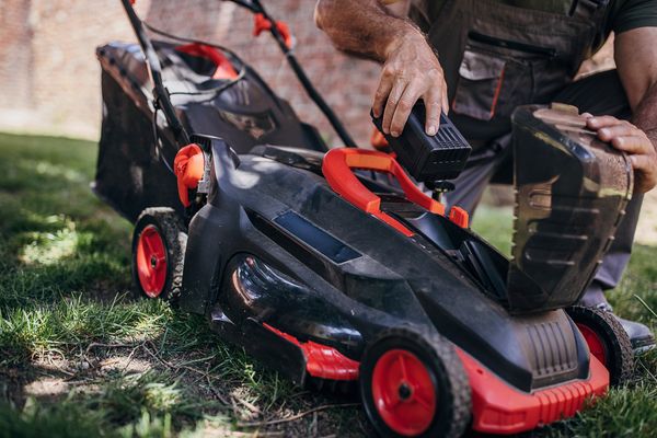 When is it antisocial to mow the lawn The rules from garden experts