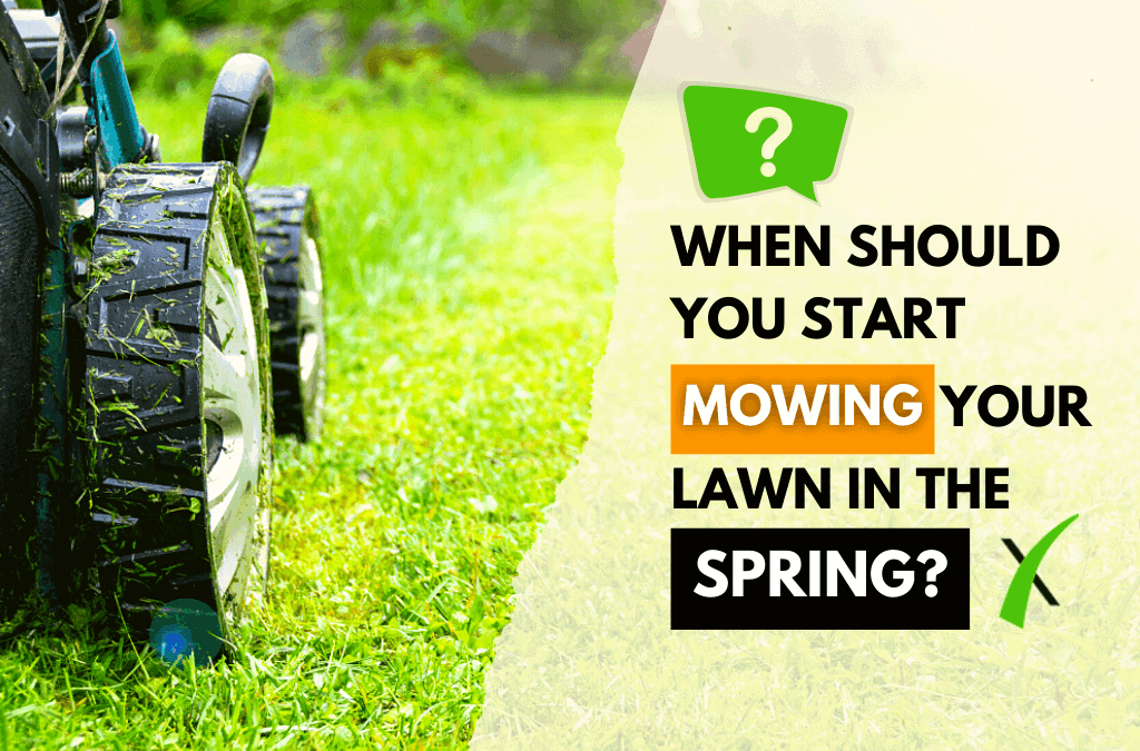 When to start mowing the lawn in spring