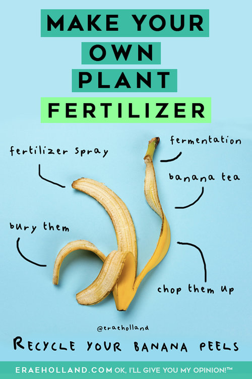 Can you use banana peels as fertilizer Experts reveal 4 ways to boost your plants' growth