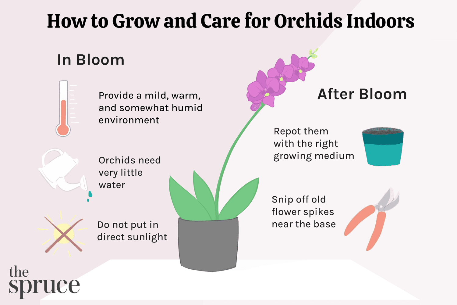 How do you keep orchids blooming
