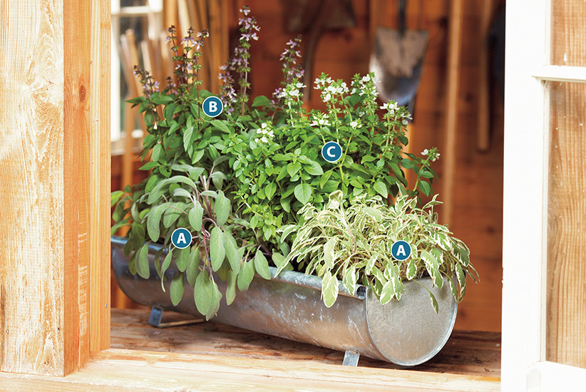 Herb garden ideas – 18 ways to grow an aromatic crop indoors and outdoors