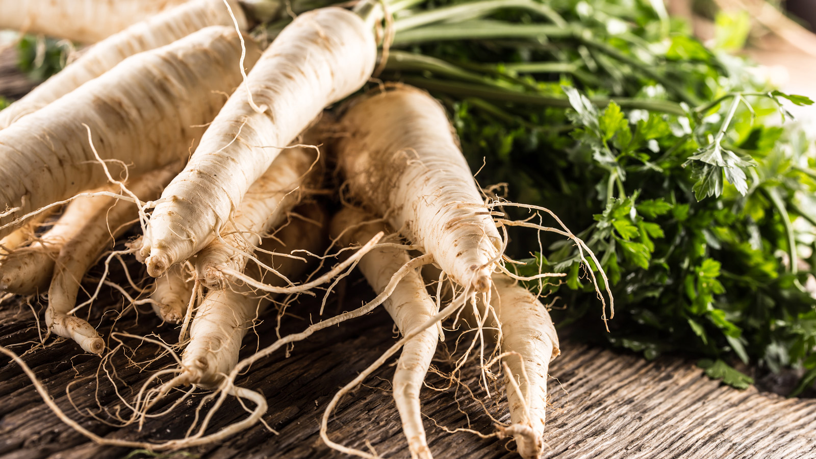How to grow parsnips – all you need to know about these sweet and spicy root vegetables