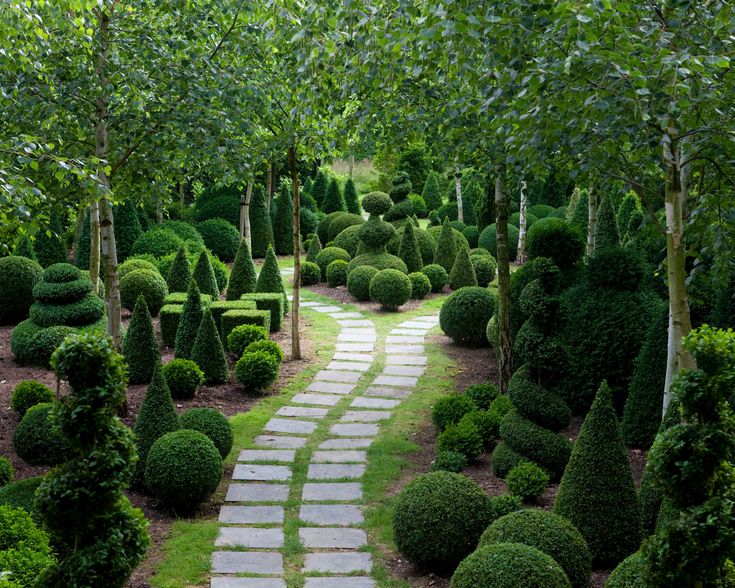 Can topiary grow in shade