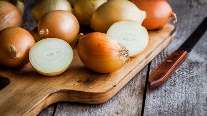 What is the best time of year for growing onions from scraps