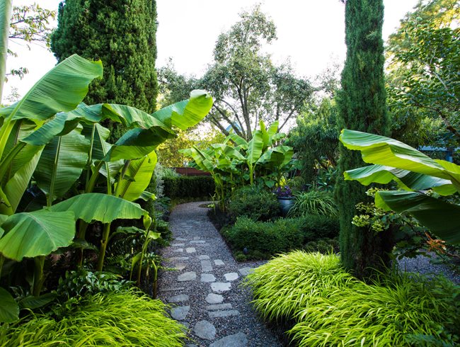Tropical garden ideas – 10 tips to turn your garden into an oasis of color and movement