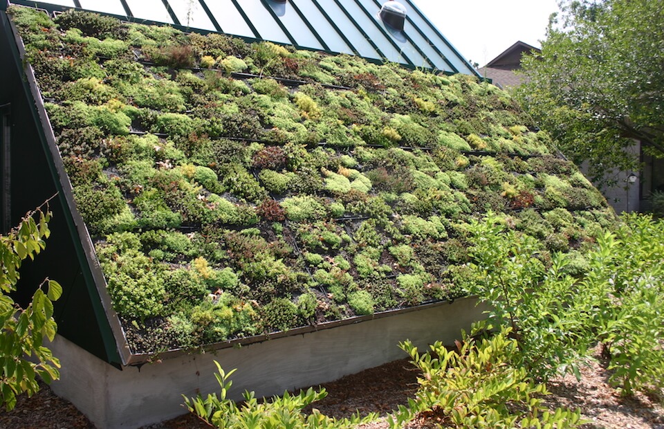 Do green roofs provide insulation