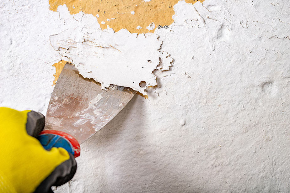 What causes peeling paint