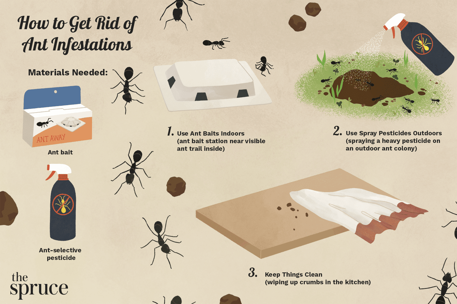 Why do ants come into the house – and how to stop them