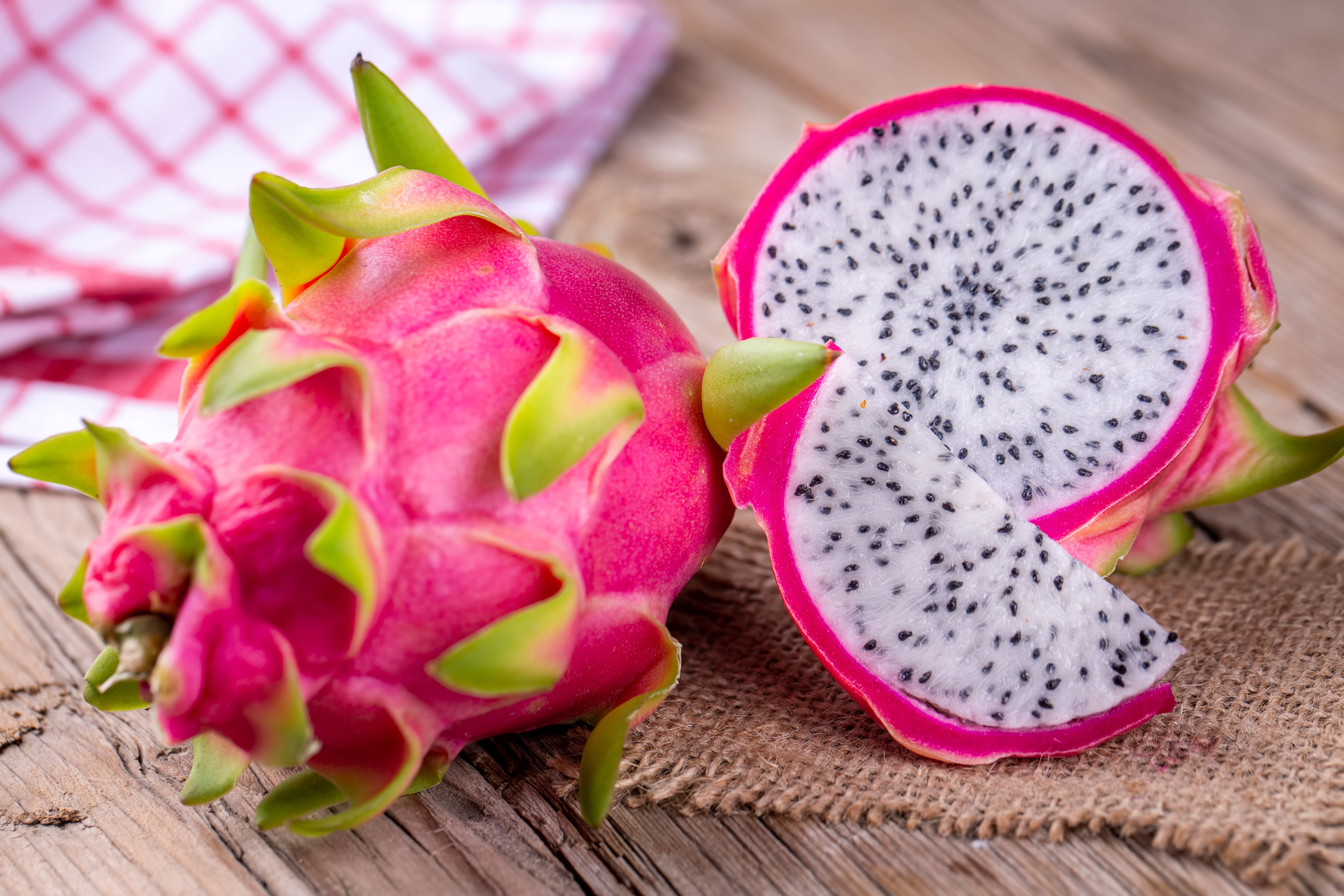 Is dragon fruit easy to grow