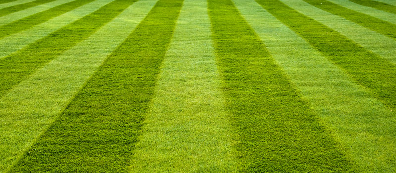 How often should you mow your lawn in spring