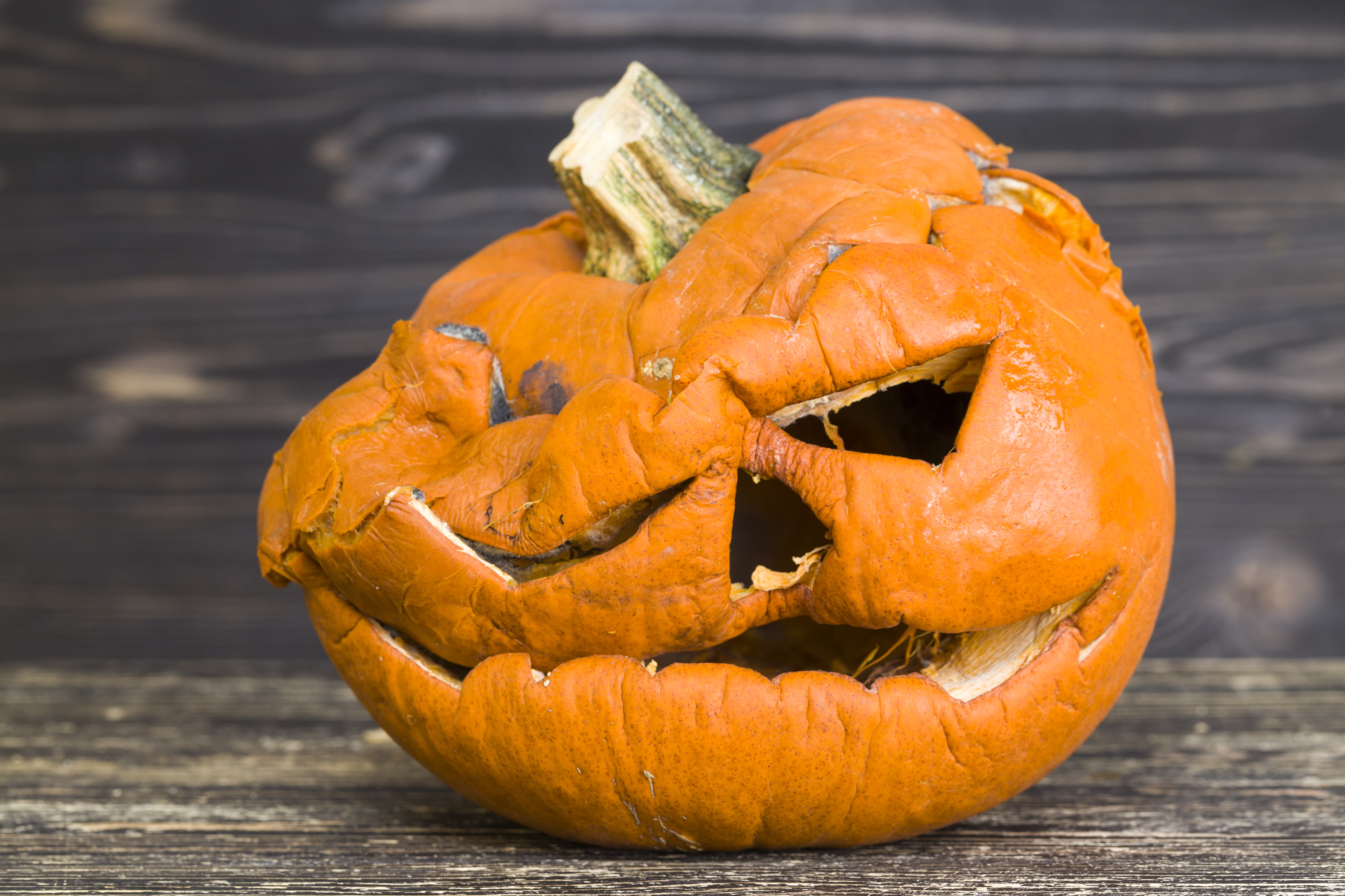 Other tips to keep your pumpkins fresh