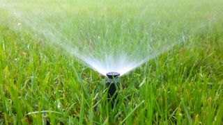 Should you water the lawn at night Top lawn care experts give their verdict