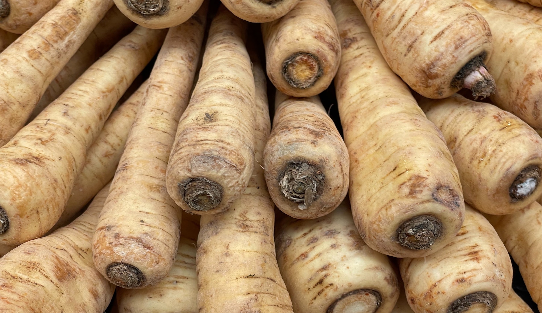 How to plant parsnips from seed