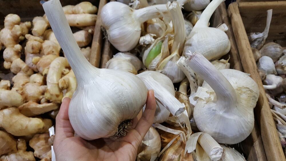 Can you grow garlic from grocery store garlic Here's what you need to know before trying it