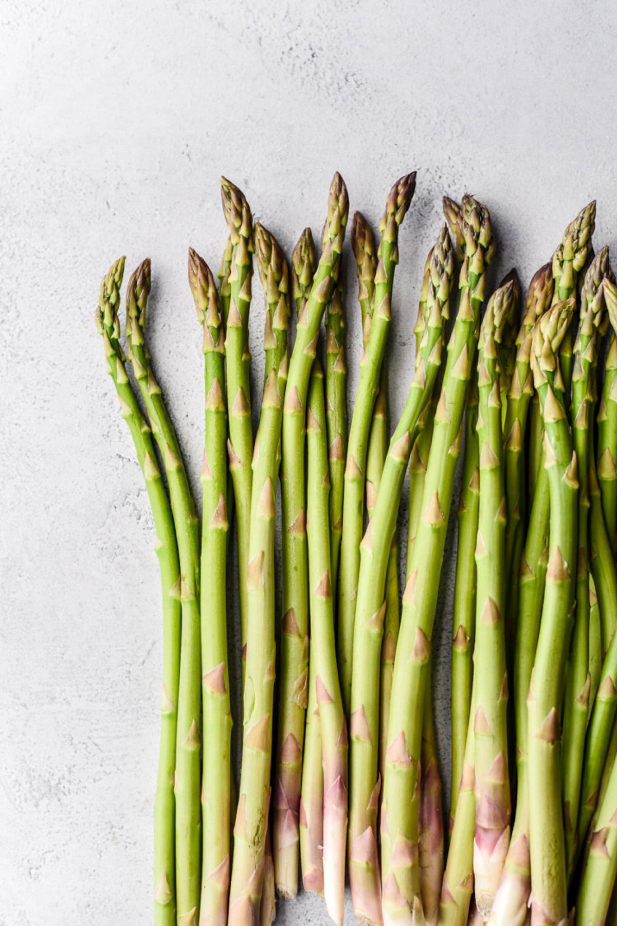 Can you plant asparagus in fall