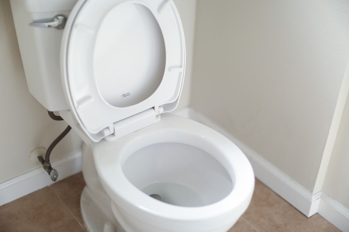 Why your toilet won't flush and what to do