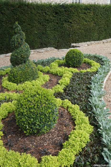 12 Introduce cloud pruned topiary